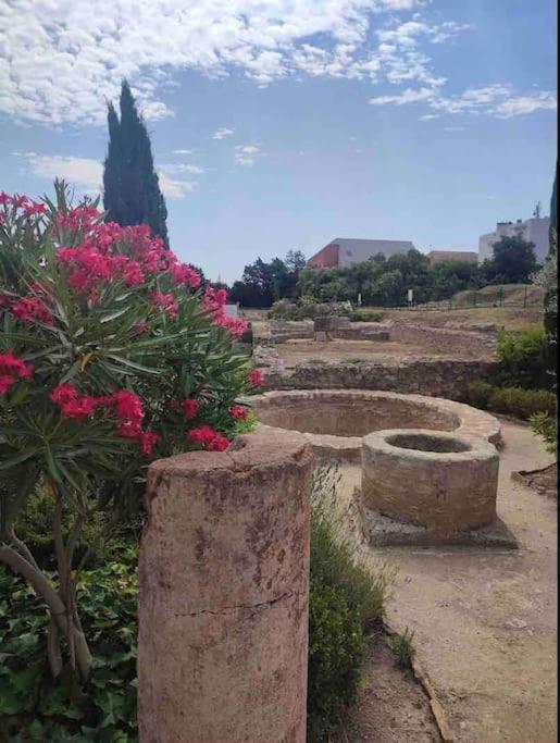 דירות Soleil Sucre T2 Centre Historique De נרבון מראה חיצוני תמונה