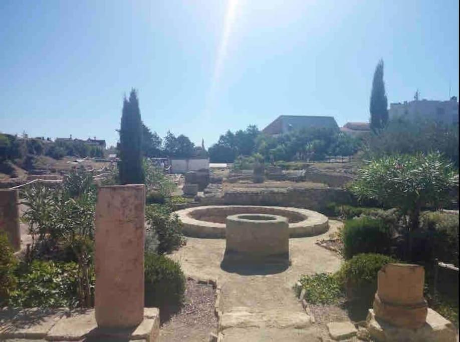דירות Soleil Sucre T2 Centre Historique De נרבון מראה חיצוני תמונה